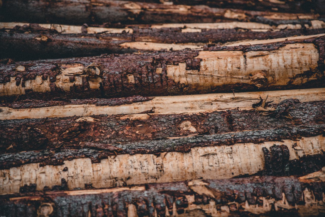A close-up view capturing the rustic texture and pattern of stacked tree logs in a forest setting.
