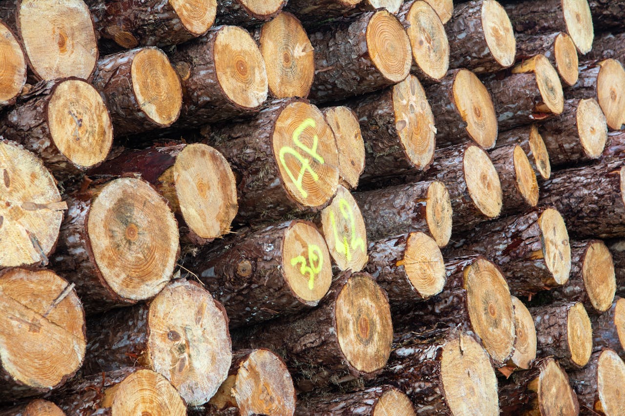 services-03 Pile of cut timber logs stacked outdoors, showcasing natural wood patterns.