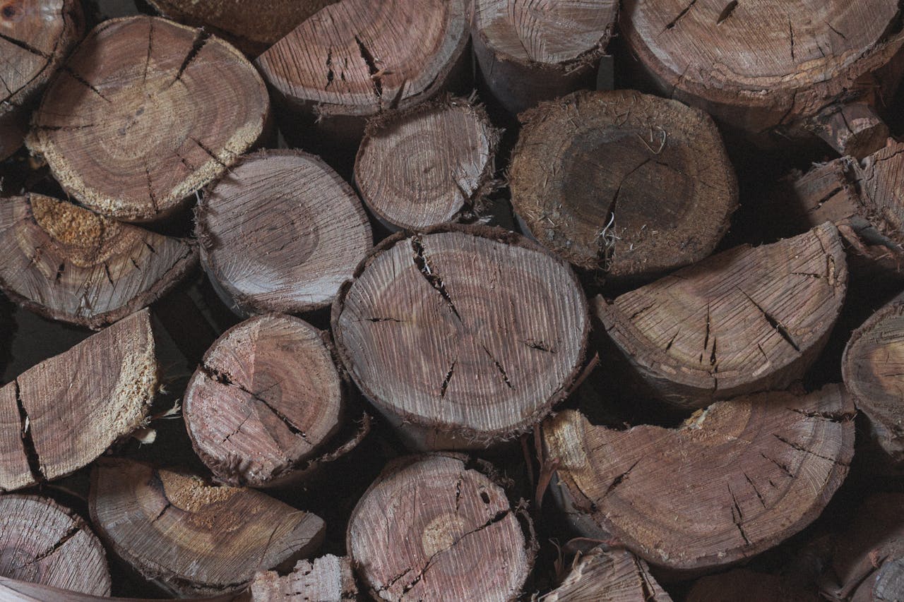 services-04 A detailed view of stacked rough cut tree logs showcasing wood texture and patterns.