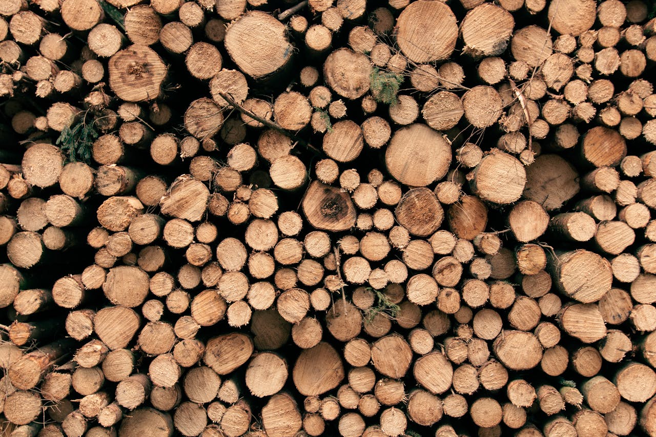 The Art of Drawing Readers In: Your attractive post title goes here A close-up view of a stack of firewood logs showcasing natural texture and patterns.